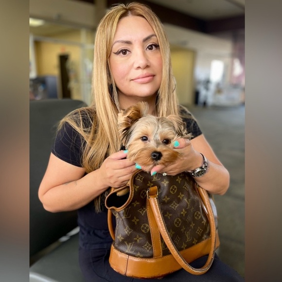 Louis Vuitton - Picture 1 of 13